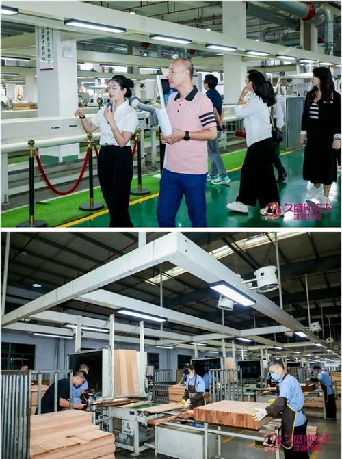 零胶零醛，回归自然 久盛地板工厂鉴证之旅圆满落幕，化工产品时代的纯实木新选择
