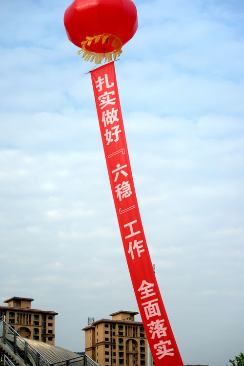 镜头带你逛广元建材与化工产品产销对接会